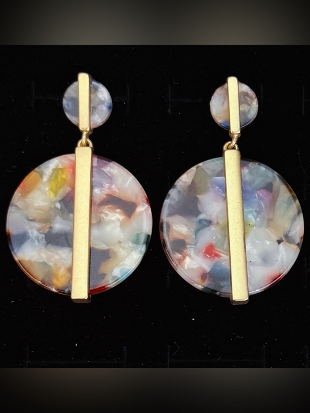 Multicolor Goldtone Accent Resin tortoise pierced Earrings